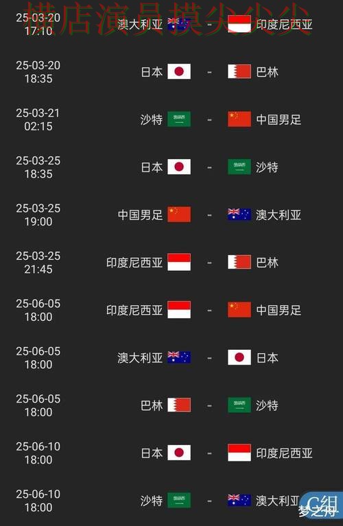 世界杯买球平台揭秘：聚焦速度测试与赛事直播体验 - 2026世界杯